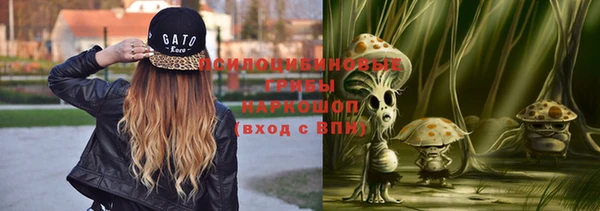 дурь Алексеевка