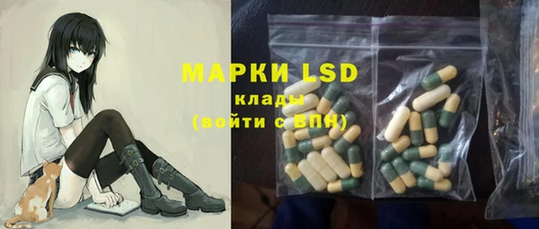 шишки Алзамай