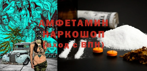 шишки Алексин