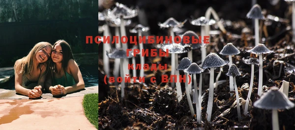 шишки Алзамай