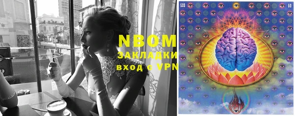 шишки Алексин