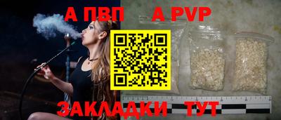 индика Камышлов