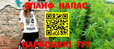индика Камышлов