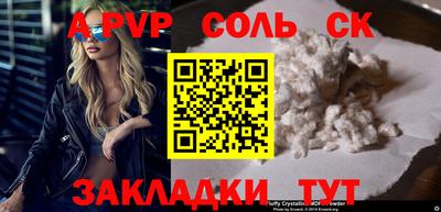 индика Камышлов
