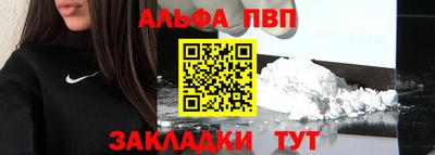 индика Камышлов