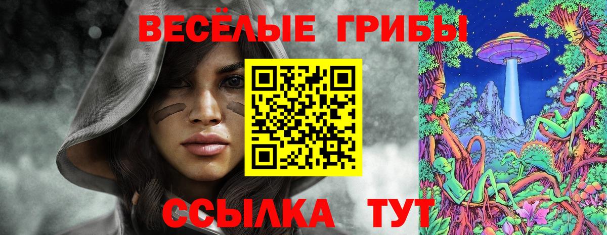Псилоцибиновые грибы ЛСД  Псилоцибиновые грибы GOLDEN TEACHER  Вход с VPN  где купить наркоту  Кохма 